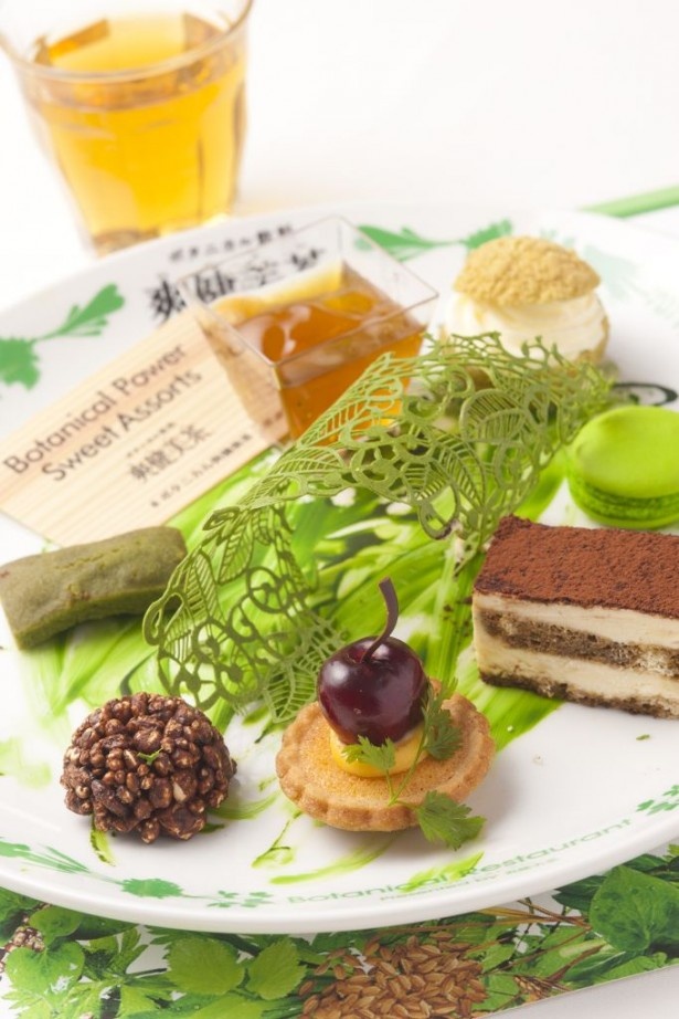 【写真を見る】7種のスイーツがかわいい！「Botanical Power Sweet Assorts」