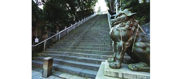 愛宕神社の86段の階段。のぼれば出世につながるかも？