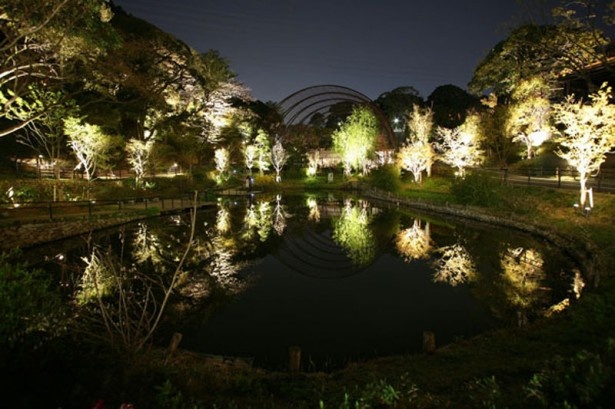 夜の動物園はドキドキがいっぱい！　夏の夜を到津の森公園で過ごそう！