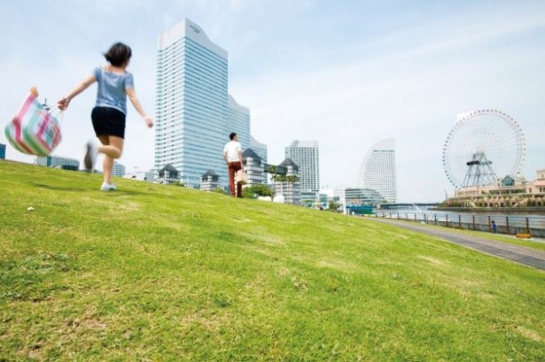 横浜みなと博物館の屋上にある「日本丸メモリアルパーク」の芝生広場