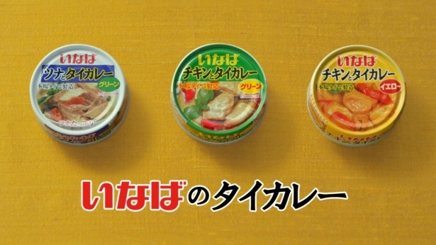 (写真左から)ツナがたっぷり入った「ツナとタイカレー」、グリーンカレー「チキンとタイカレー　グリーン」、チキンが入った「チキンとタイカレー　イエロー」