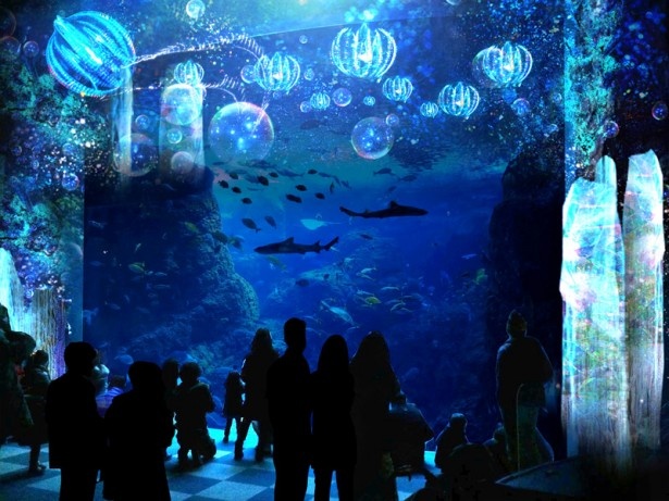 最新技術で幻想的な海を演出！新江ノ島水族館でナイトアクアリウムを開催