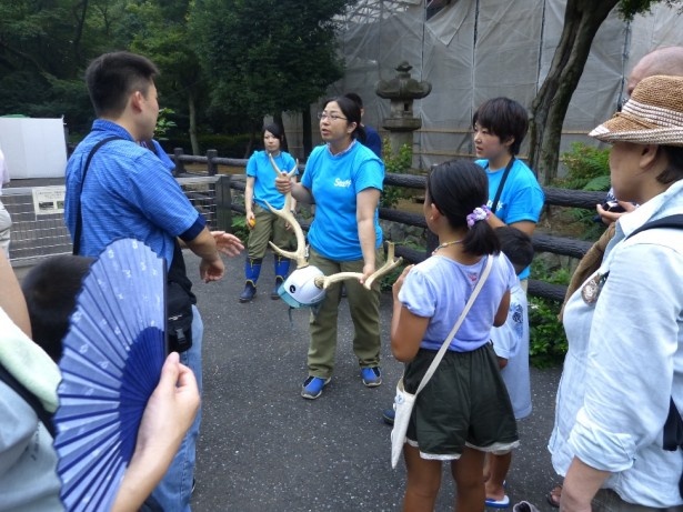 日本の動物「昼と夜」は昼行生動物をテーマにした「昼の部」と夜行性動物をテーマにした「夜の部」の2部構成