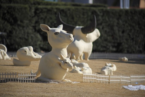 都市のユーモア展　北川フラム監修　石坂祐子「ZOO」