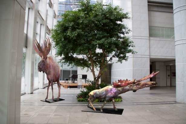 都市のユーモア展　北川フラム監修　大石雪乃「They are letting of the shapes 彼らは形を手放していく」