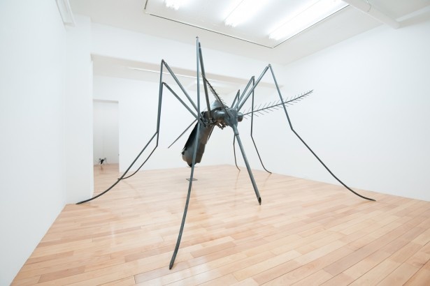 都市のユーモア展　北川フラム監修　内山翔二郎「ある惑星の住人」
