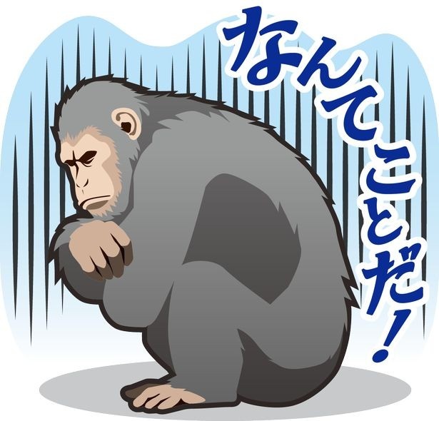 どういったシチュエーションで使うのが良い？