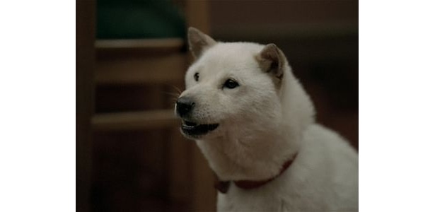 自宅のテレビからホークスを応援する（？）“お父さん”