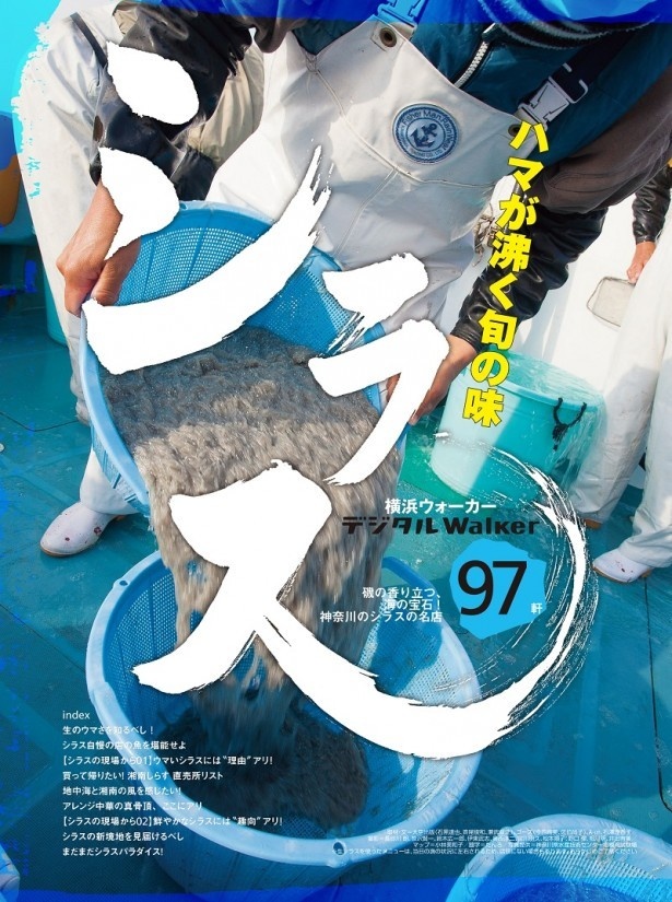 デジタルWalker「海の宝石！神奈川のシラス名店 地元誌厳選97店」の表紙