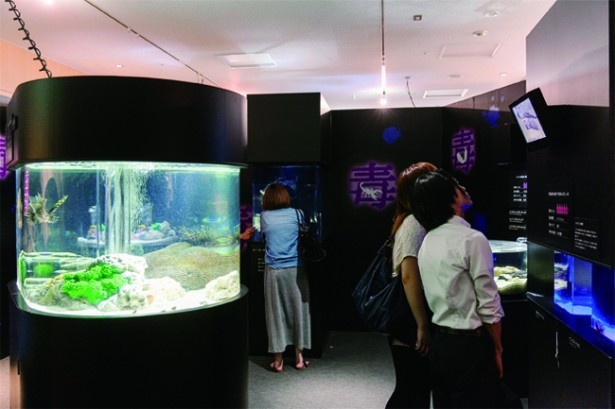 有毒な生き物たちばかりを集めた「毒毒毒毒毒毒毒毒毒展(もうどく展)」