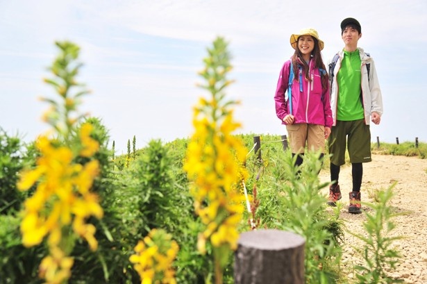 画像5 5 登山初心者でも安心のらくらくコースをご案内 立ち寄りグルメ 温泉も満載の 関西低山ハイキング が8 29 金 発売 ウォーカープラス