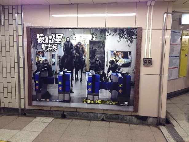 【写真を見る】弊社最寄り駅の飯田橋駅にも猿たちが！