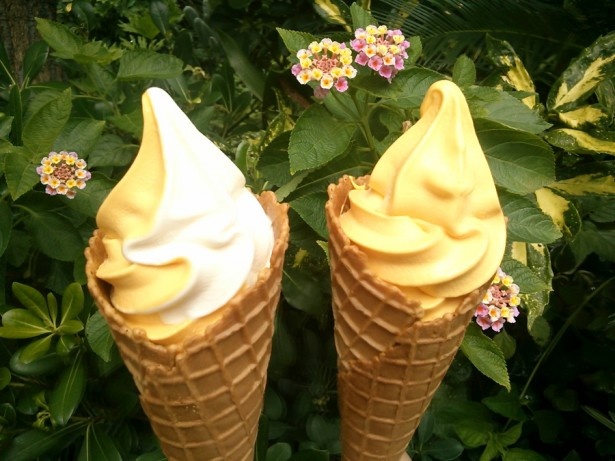 濃厚な甘味が口の中に広がるパンプキンソフト(367円)