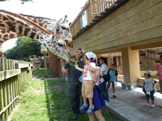 秋の動物公園まつりで好きな動物にエサをあげよう