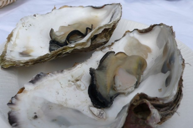 岩手産の牡蠣は濃厚な味が特徴