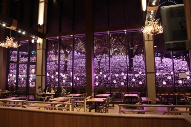 園内のレストラン「ワイルドダイニング」の店内からも、LED電球によるライトアップが見える