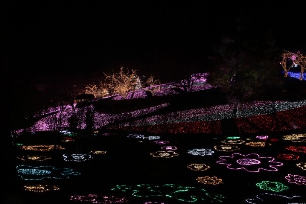 LED電球で花の模様を描いたライトアップもある