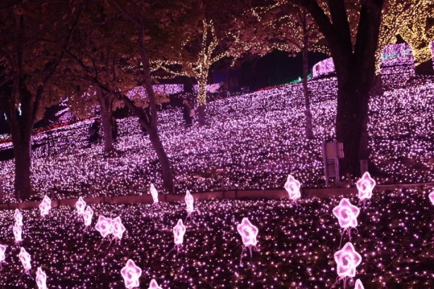 ピンク色のLED電球で彩られた「光の花畑」