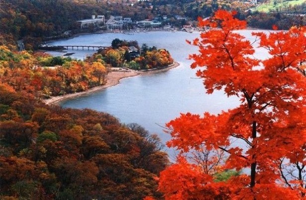 12位の赤城山(群馬県前橋市)。湿原の覚満淵(かくまんぶち)では草原の紅葉も楽しめる