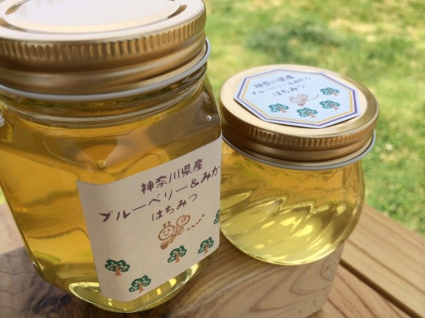「移動カフェ thanks milk」は神奈川県産のハチミツも販売。40g￥450、（右）120g￥850、（左）250g￥1700