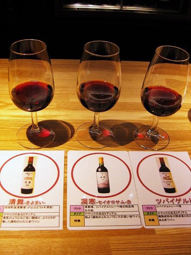 まるで中世の古城！北海道・池田ワイン城で試飲三昧