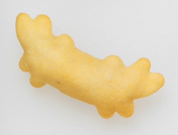 【写真を見る】こちらはなぁに？(ヒント:2本のハサミと硬い甲羅を持つ、おいしい生き物！)