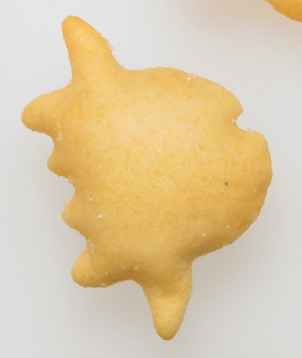 マンボウを発見！ころんとキュートな姿がお茶目