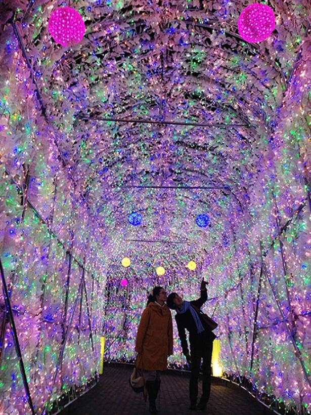 【写真を見る】洞爺湖温泉の中心部で輝く約70mの幻想的な「イルミネーショントンネル」