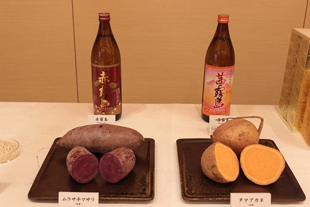 ムラサキマサリを使用した「赤霧島」と、タマアカネを使用した「茜霧島」