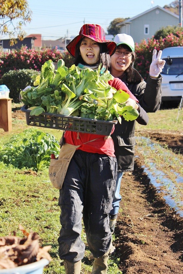 【写真を見る】横浜では、採れたての野菜を練り込んだパスタに挑戦！