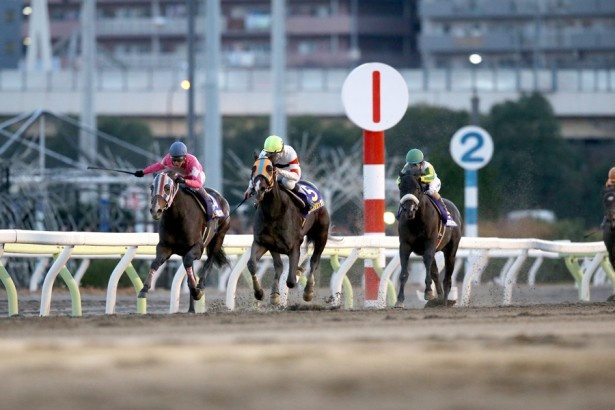 一流馬による迫力あるゴール前の叩き合い 2013年東京大賞典