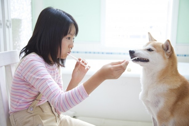 この機会に愛犬のオーラルケアを考えてみては