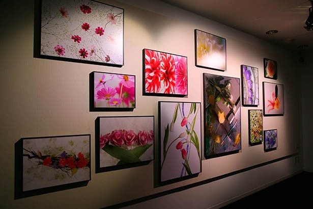 美術展らしく絵画も展示されている