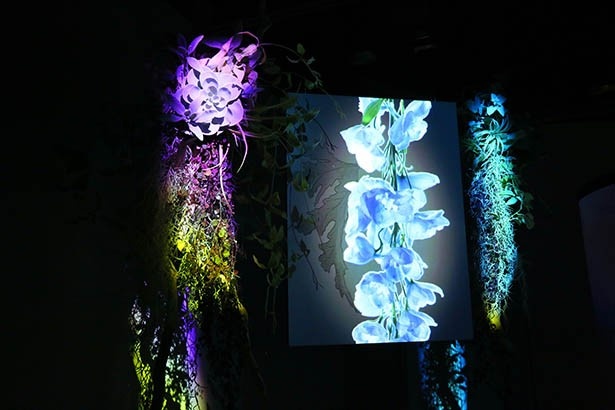 怪しげに光る植栽が未体験ゾーンへといざなう