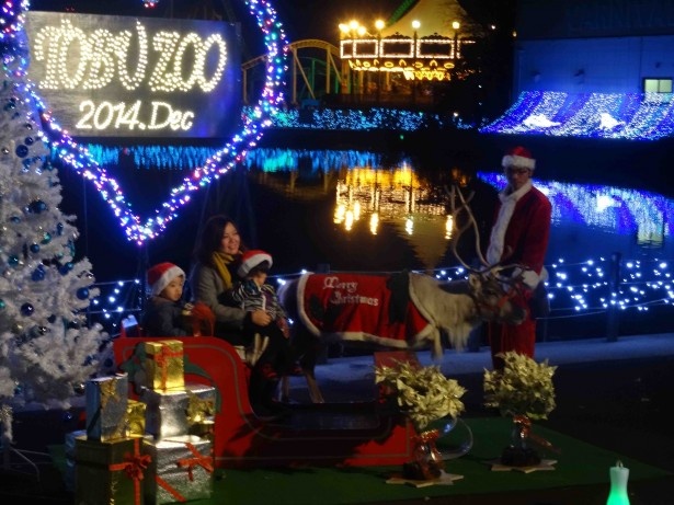 東武動物公園で 本物のトナカイ とxmasを過ごす ウォーカープラス