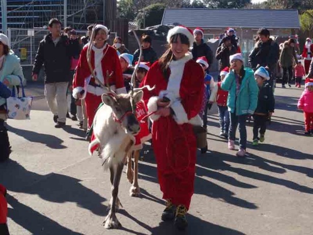 東武動物公園で“本物のトナカイ”とXmasを過ごす！