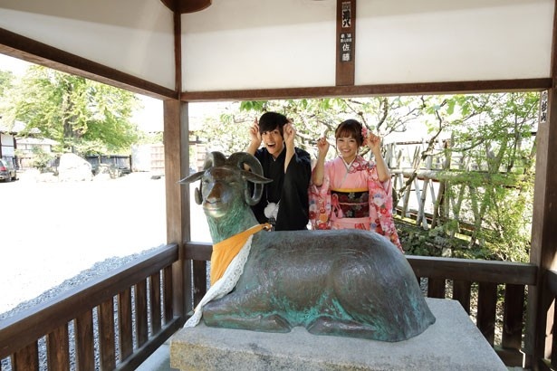 羊の神社に初詣に行こう！
