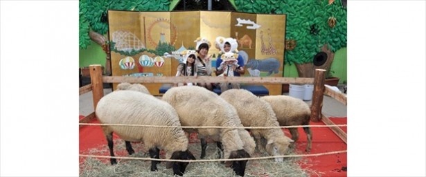 東武動物公園ではヒツジと一緒に写真が撮れるイベント「ヒツジさんのアニマルフォトスタジオ」が開催される