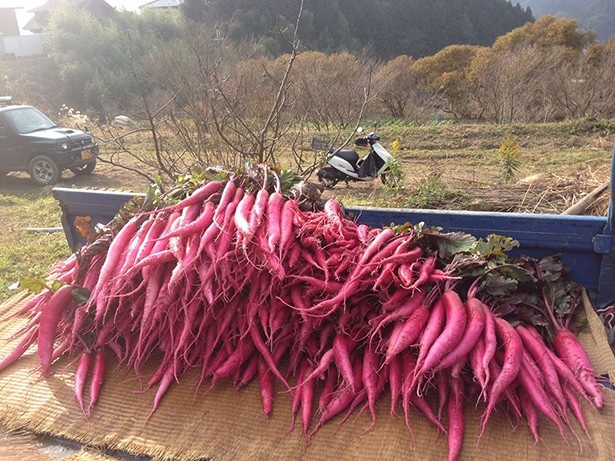 【写真を見る】今回のテーマは「オーガニック」。大和の伝統野菜である細長い赤カブ、飛鳥あかねをはじめ、旬の野菜が勢ぞろい