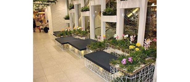 6F