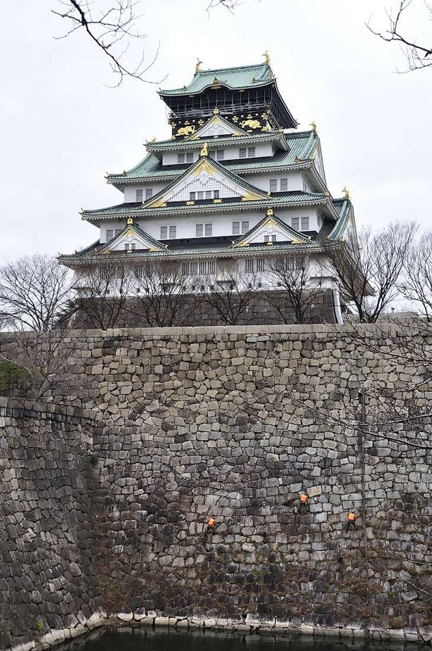 石垣だけでなく、大阪城公園全体を清掃