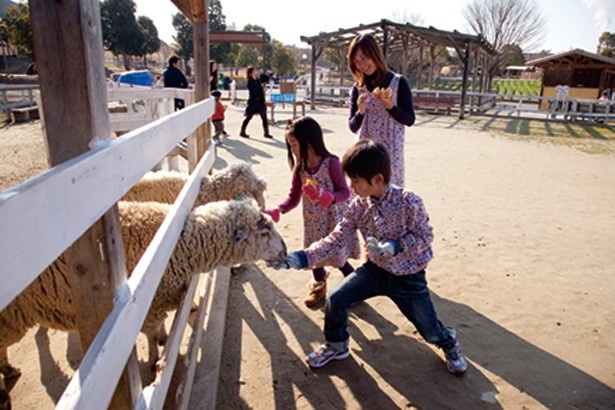 「ふれあい広場」では、エサやりなどかわいい動物とのふれあいを体験できます