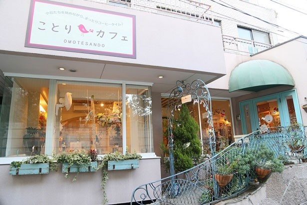 ことりカフェ 表参道は大きな看板が目印