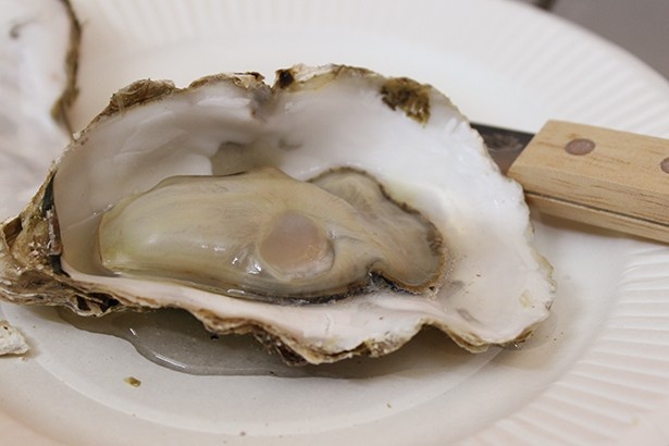 広島産の新鮮なカキ。小ぶりなサイズのカキでも、身が詰まったものが多い