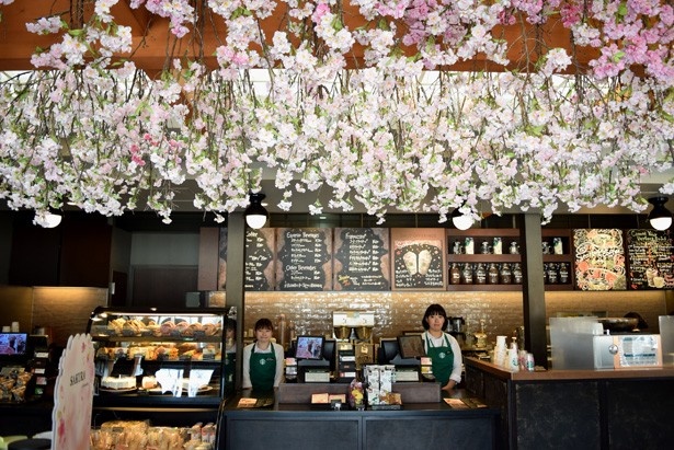 スターバックス コーヒー 上野恩賜公園店で桜が満開！