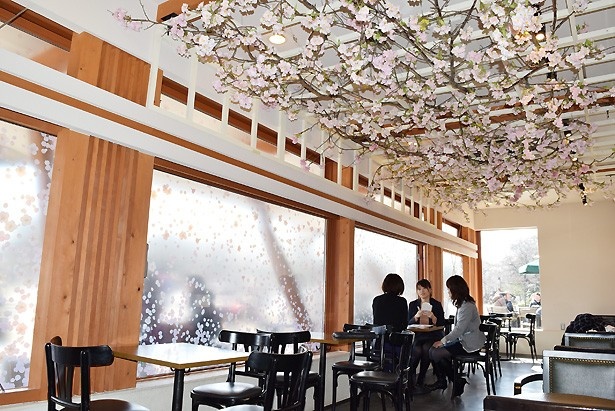 桜の咲き誇る店内でくつろぎのひとときを堪能しよう