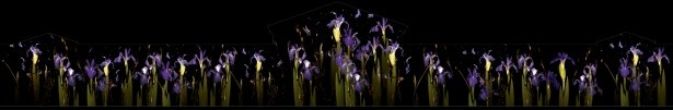 未生流笹岡の美しさに見せられた風神・雷神は、花を用いて未来琳派を表現しようとする