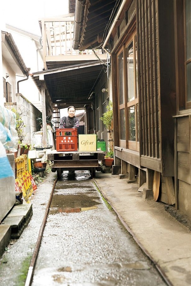 画像11 15 春の絶景が埼玉に 青空 桜 菜の花のコントラスト ウォーカープラス