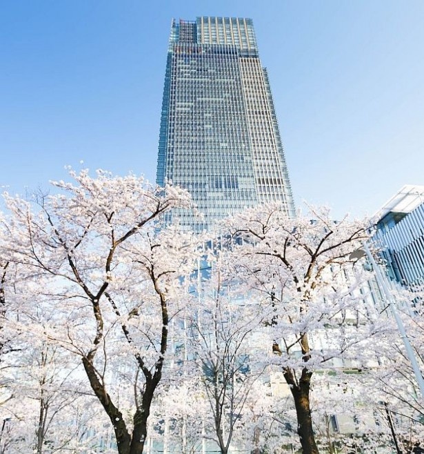 合計約150本の桜が咲き誇る東京ミッドタウン
