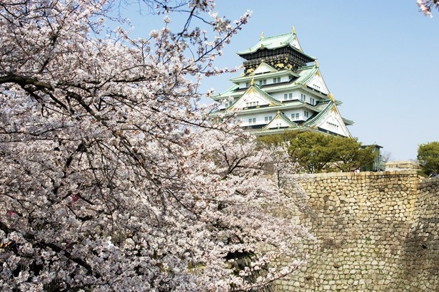 8位には、関西有数のお花見スポット、大阪城公園(大阪府大阪市中央区)が登場。西の丸庭園には、約300本の桜が植栽されている
